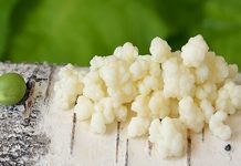 Tradicionalni kefir – napitek stoletnikov