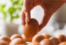 Jajca – veliko tveganje za diabetes? Jajca