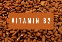 Vitaminski leksikon: Vitamin B2 Riboflavin