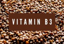 Vitaminski leksikon: Vitamin B3 niacin