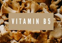 Vitaminski leksikon: vitamin B5 pantotenska kislina