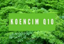Koencim Q10