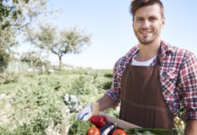 Za zdravje je bolje uživati lokalno pridelano hrano Lokalno pridelana hrana